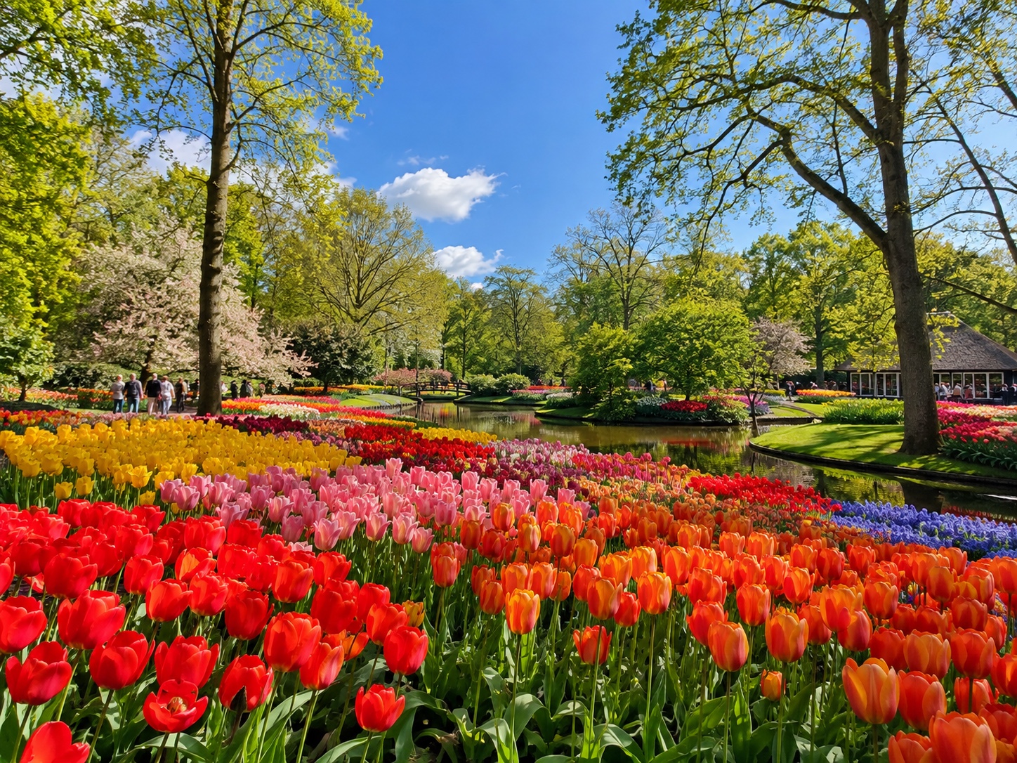 Keukenhof